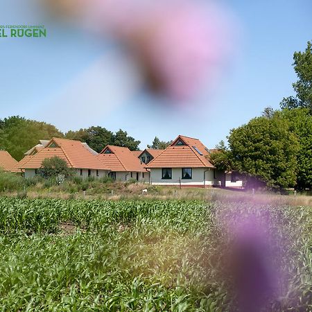 Jugendtours-Feriendorf Ummanz エクステリア 写真
