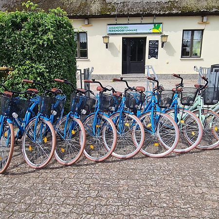 Jugendtours-Feriendorf Ummanz エクステリア 写真