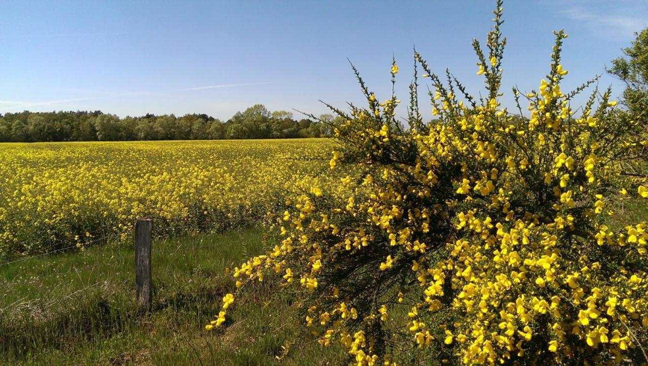 Jugendtours-Feriendorf Ummanz エクステリア 写真