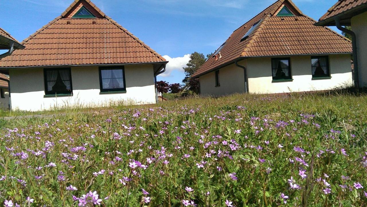 Jugendtours-Feriendorf Ummanz エクステリア 写真