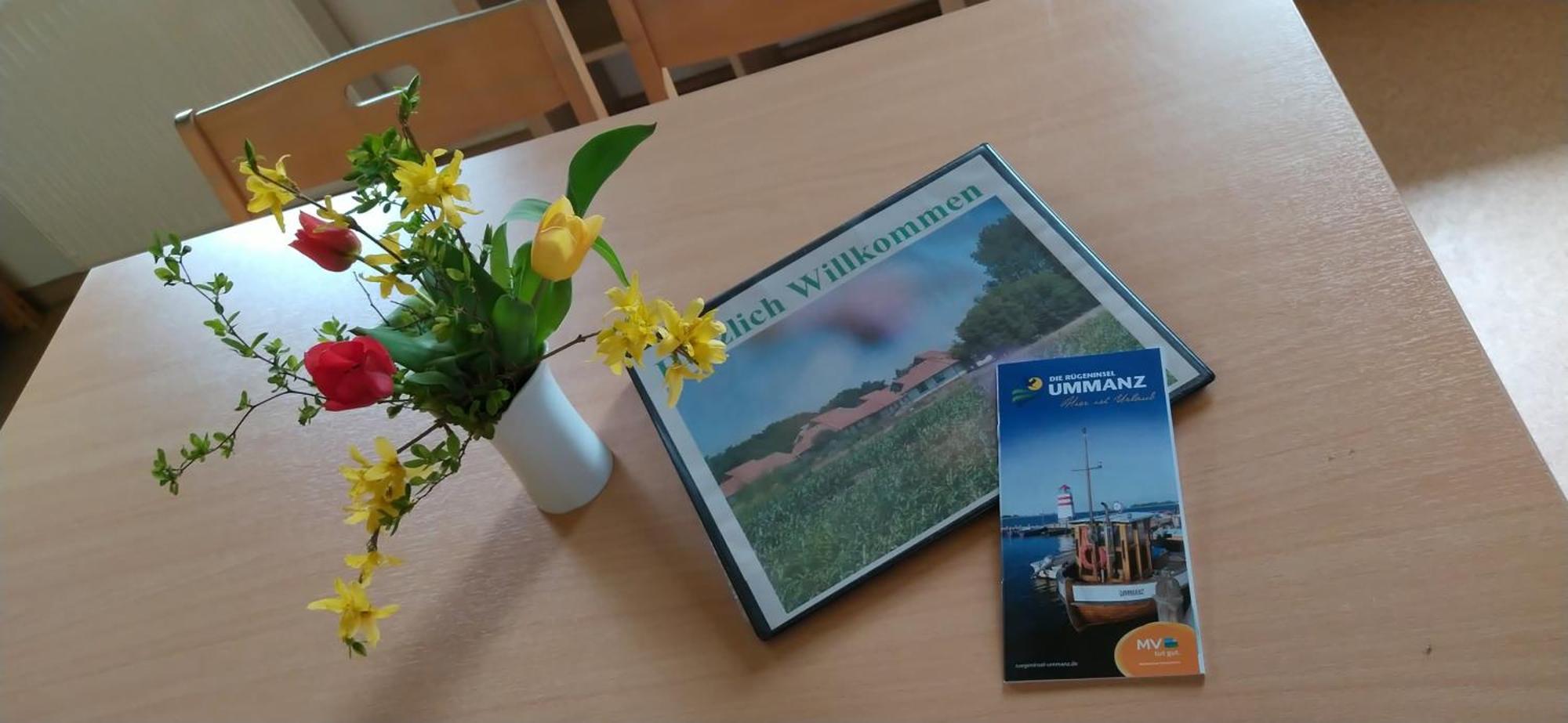 Jugendtours-Feriendorf Ummanz エクステリア 写真